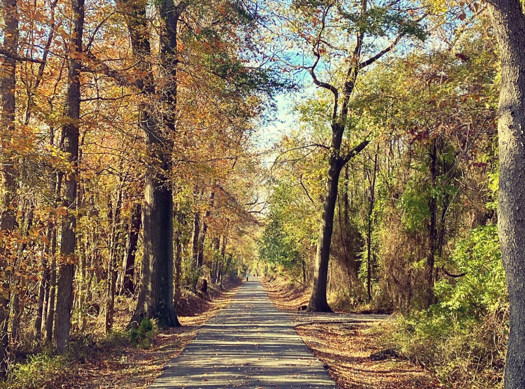 Trails Get a Boost Across the Shore