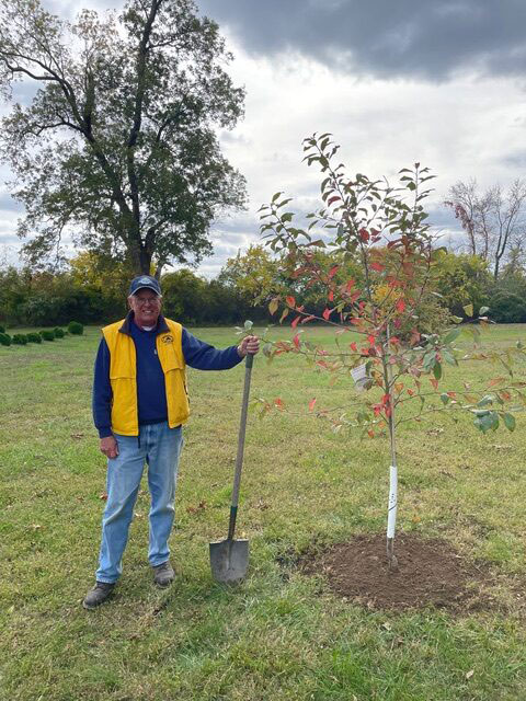 Ben Tree Planting