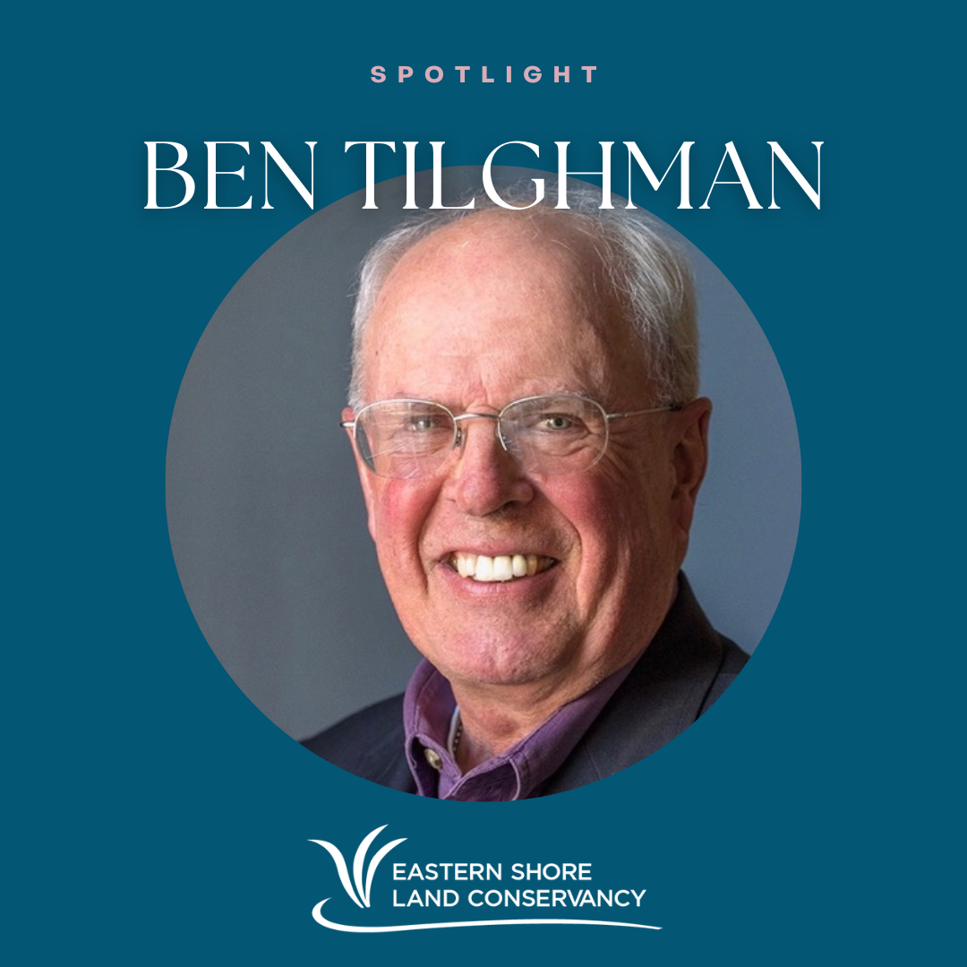 Spotlight Ben Tilghman