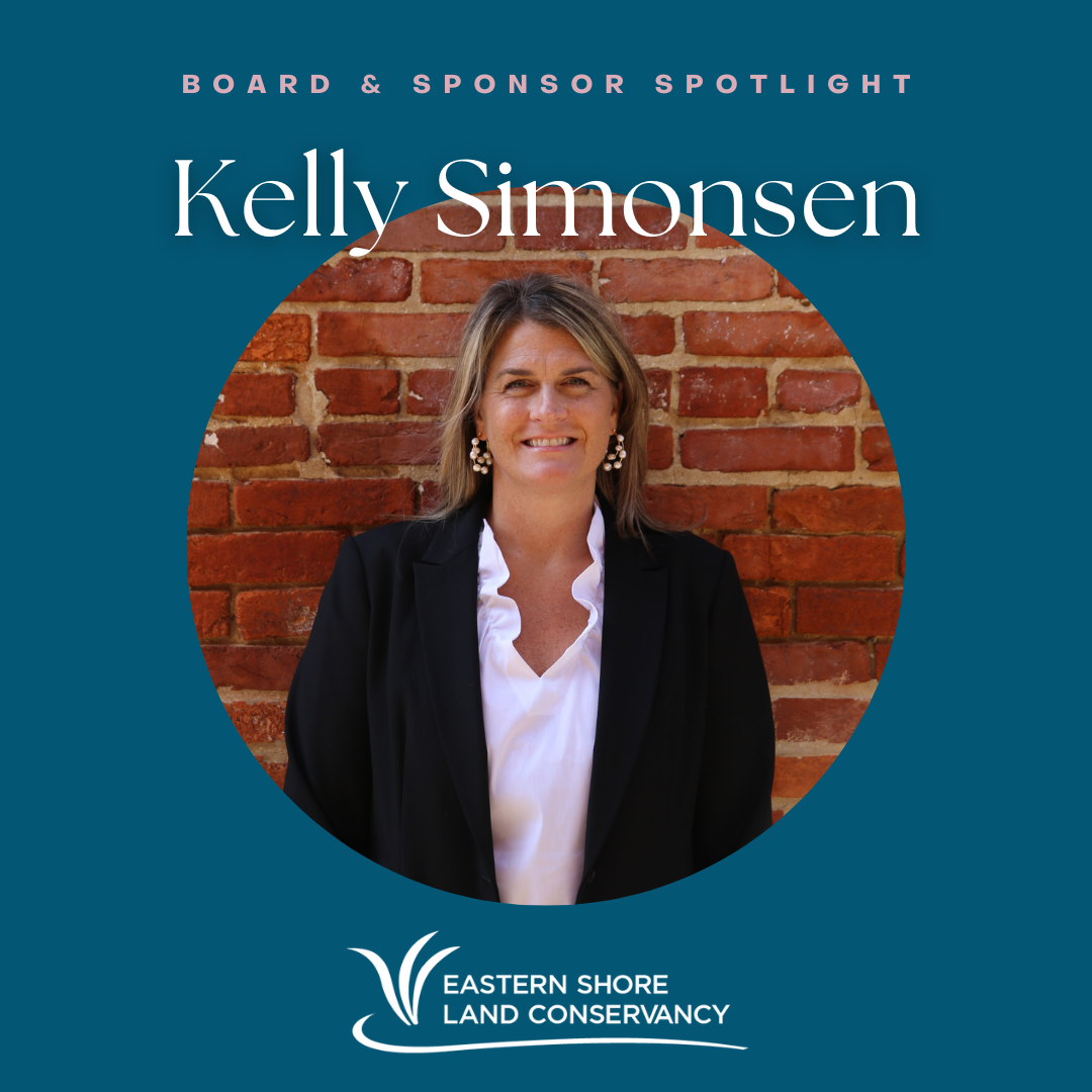 Spotlight: Kelly Simonsen & Easton Utilities