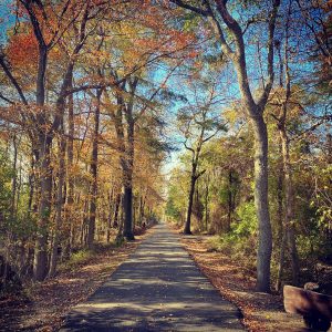 Cross Island Trail