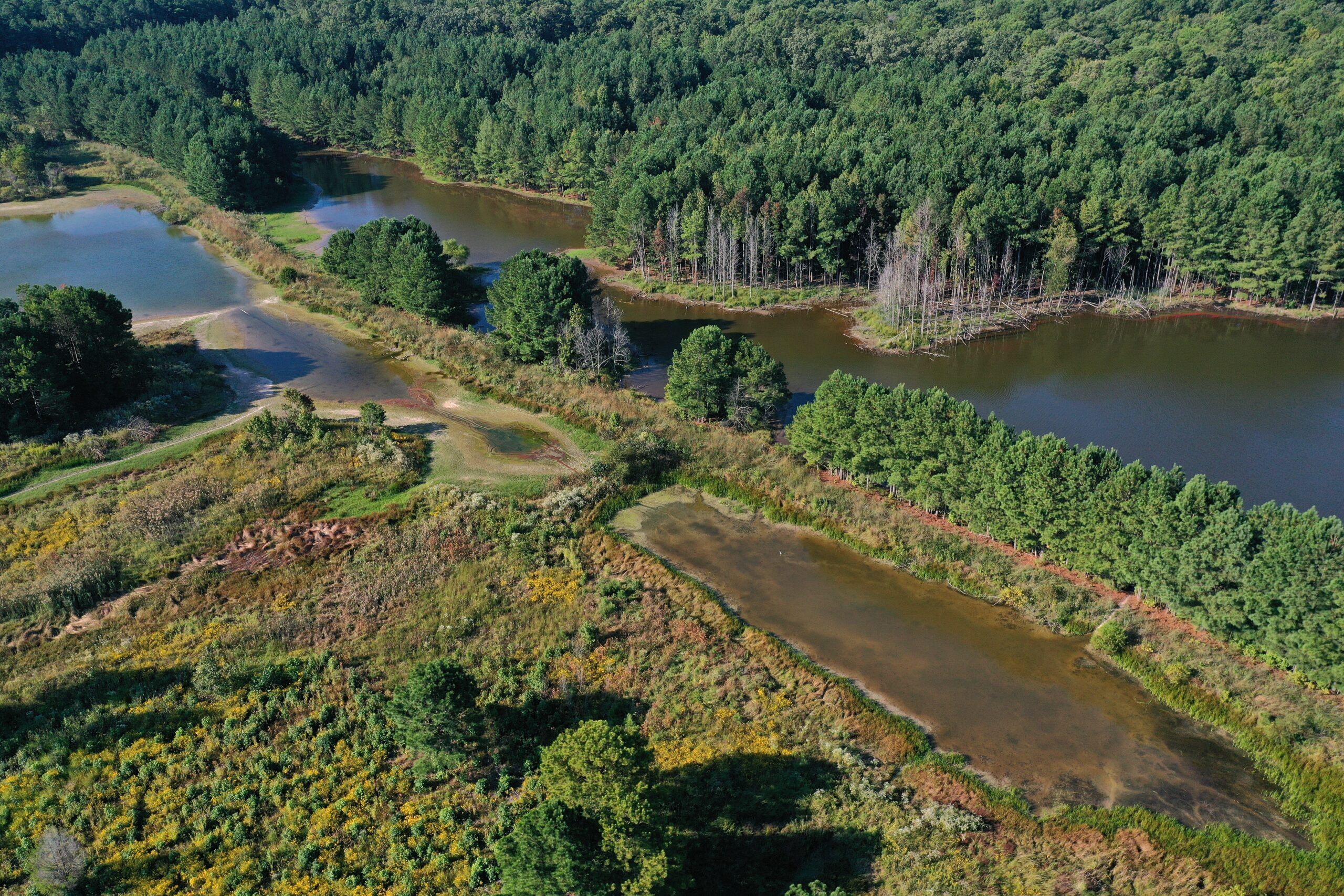 Bennett Point Preserve harbors an abundance of habitats.