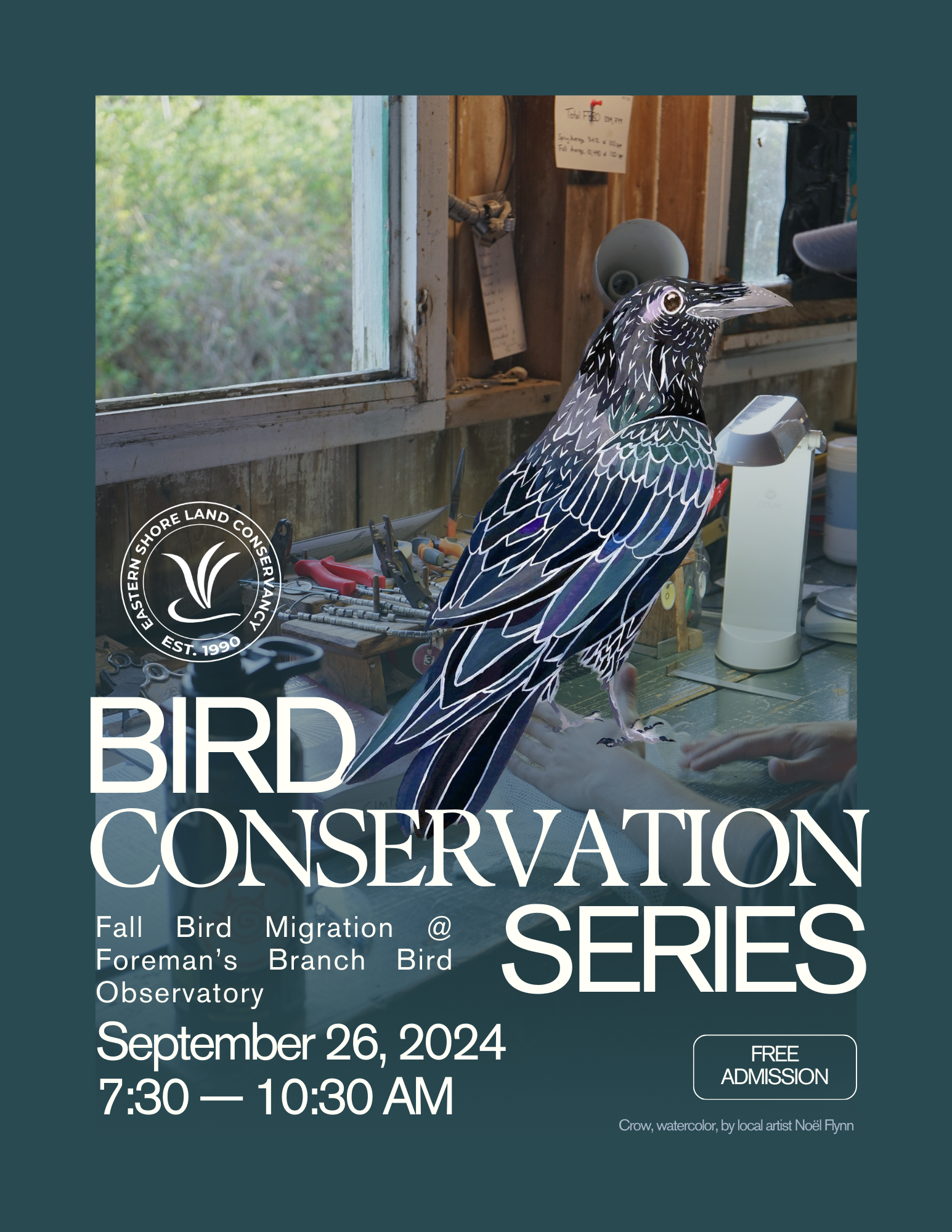 Fall Migration Bird Banding Poster