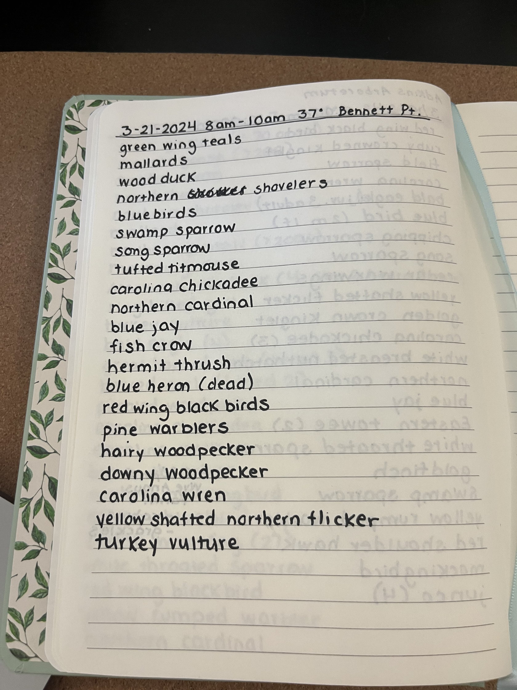 Bird list from a recent Bennett Point walk recorded by Master Naturalist and Enhanced Stewardship Manager Larisa Prezioso.