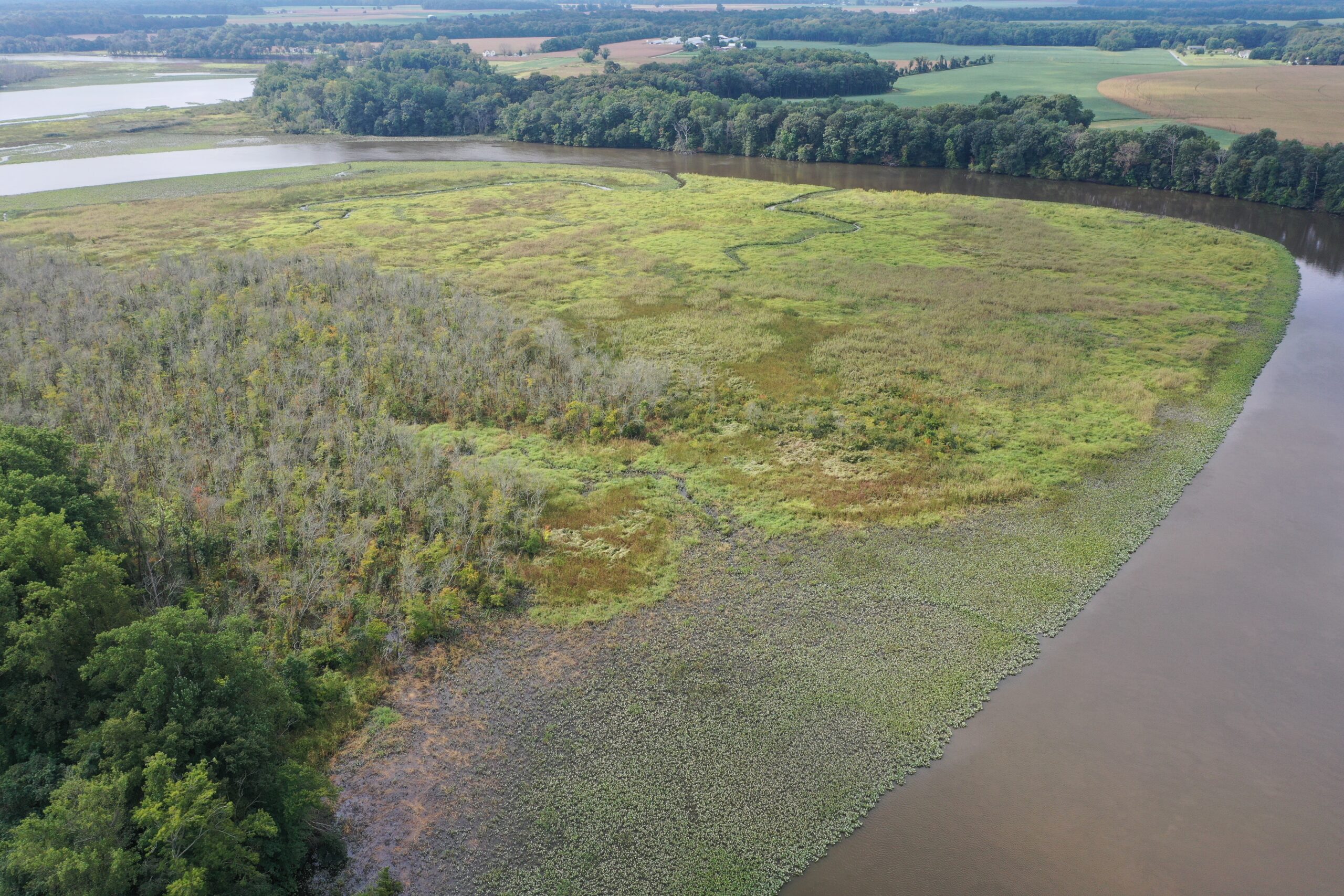 Protected by ESLC since 2015, the Moberly's Farm conservation easement in Caroline County's Tuckahoe Rural Legacy Area includes over 35 acres of tidal wetland.