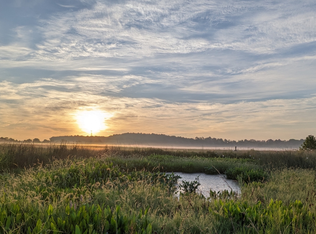 Seven Legislative Efforts That Could Impact Eastern Shore Land Use and Preservation