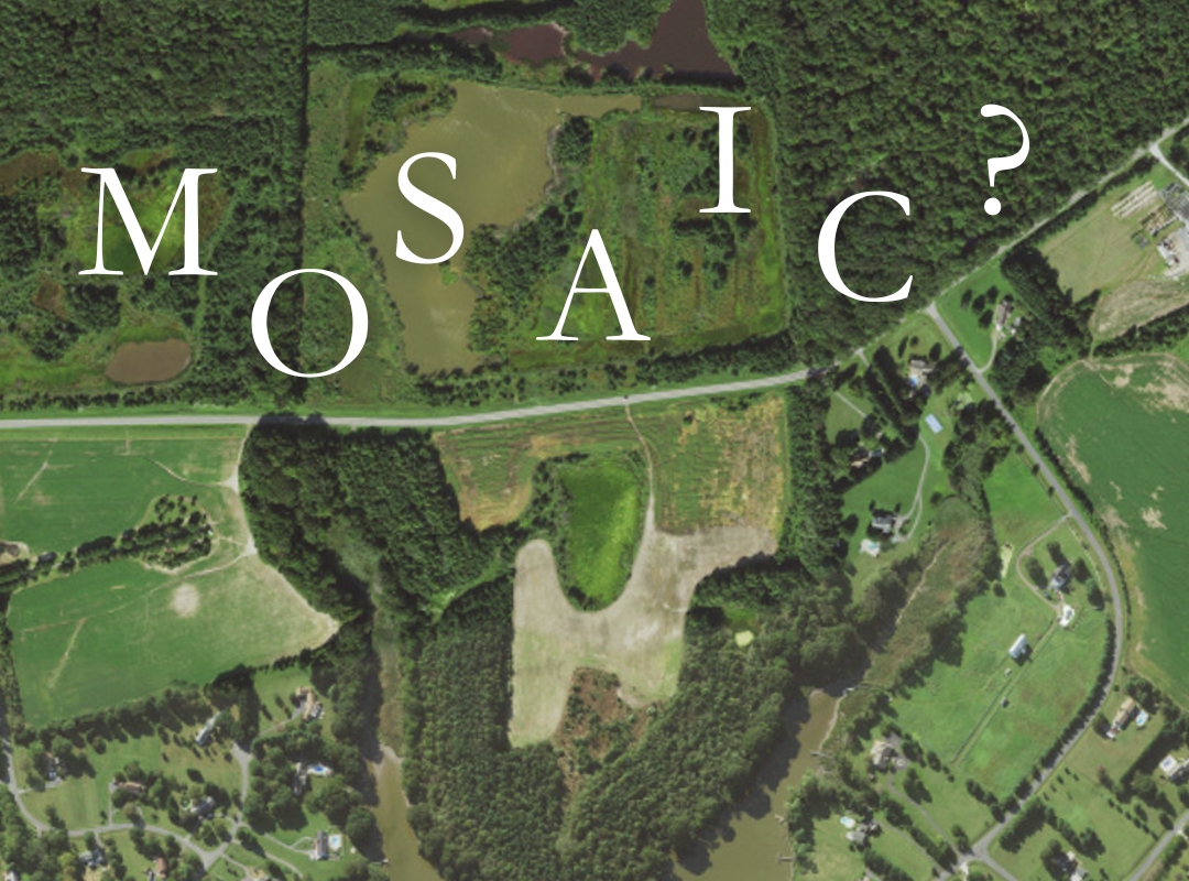 What is a Mosaic