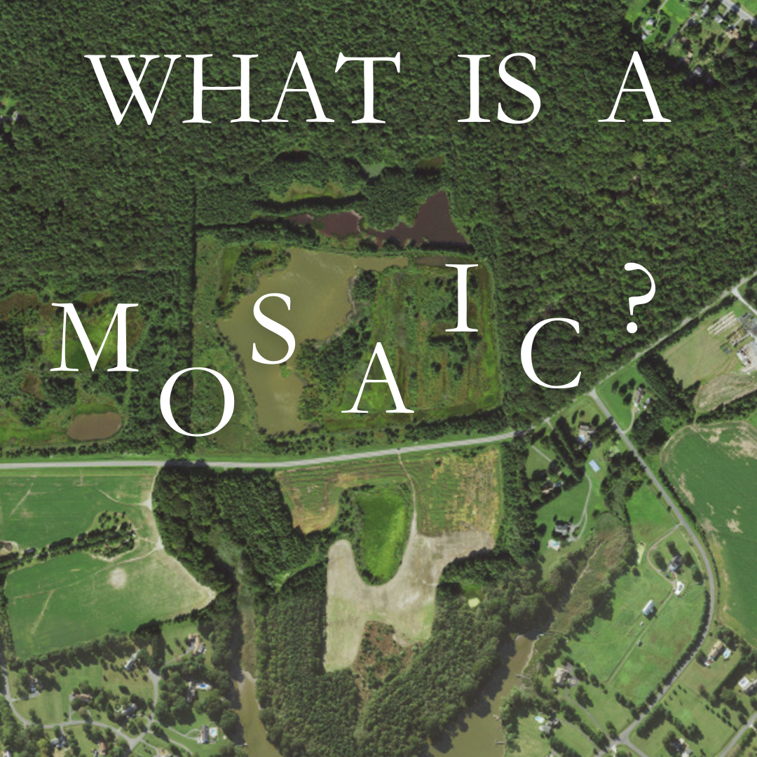 What is a Mosaic