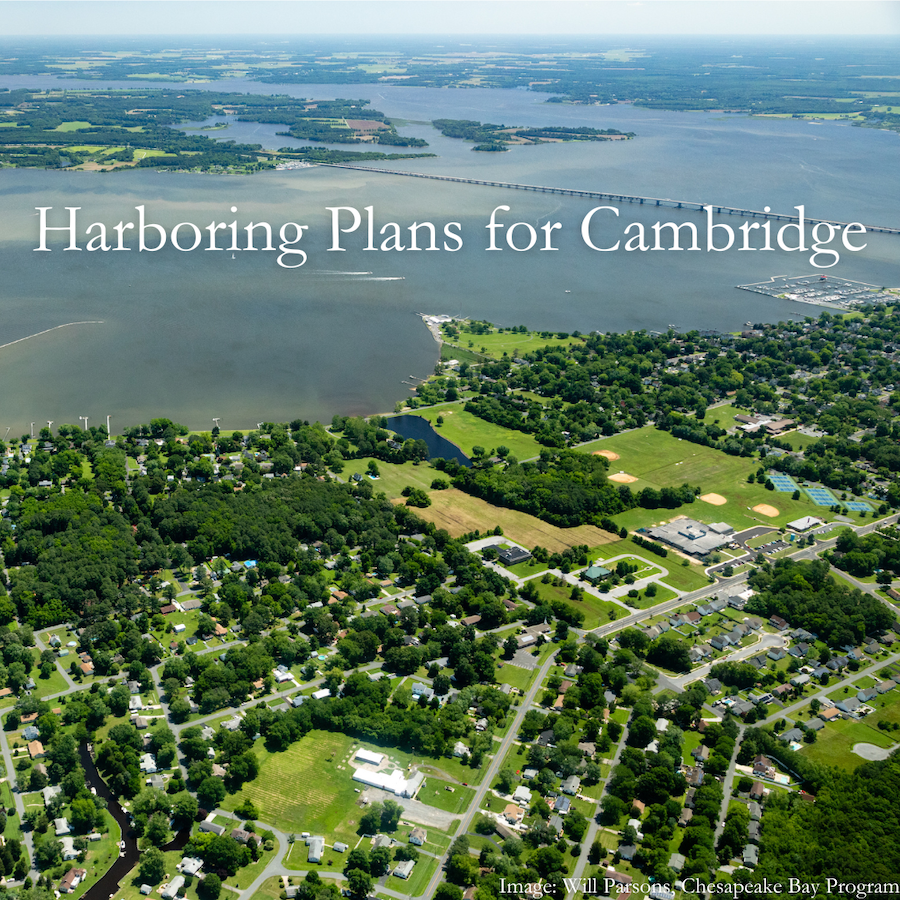 Cambridge Harbor