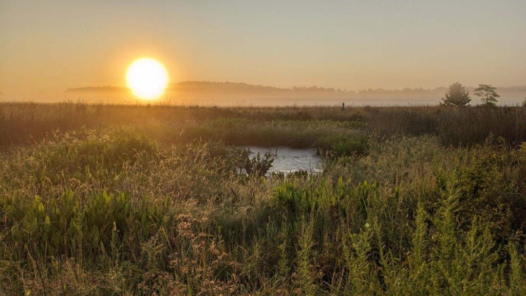 Sunrise at Oxford Conservation Park. Photo: Larisa Prezioso