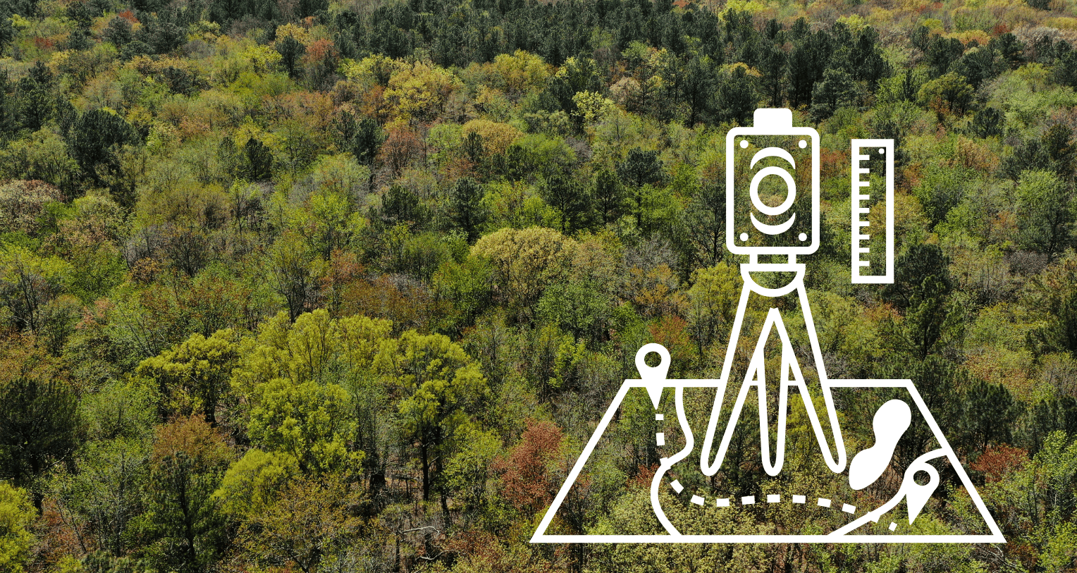 dorchester forest photo with land surveying icon on top