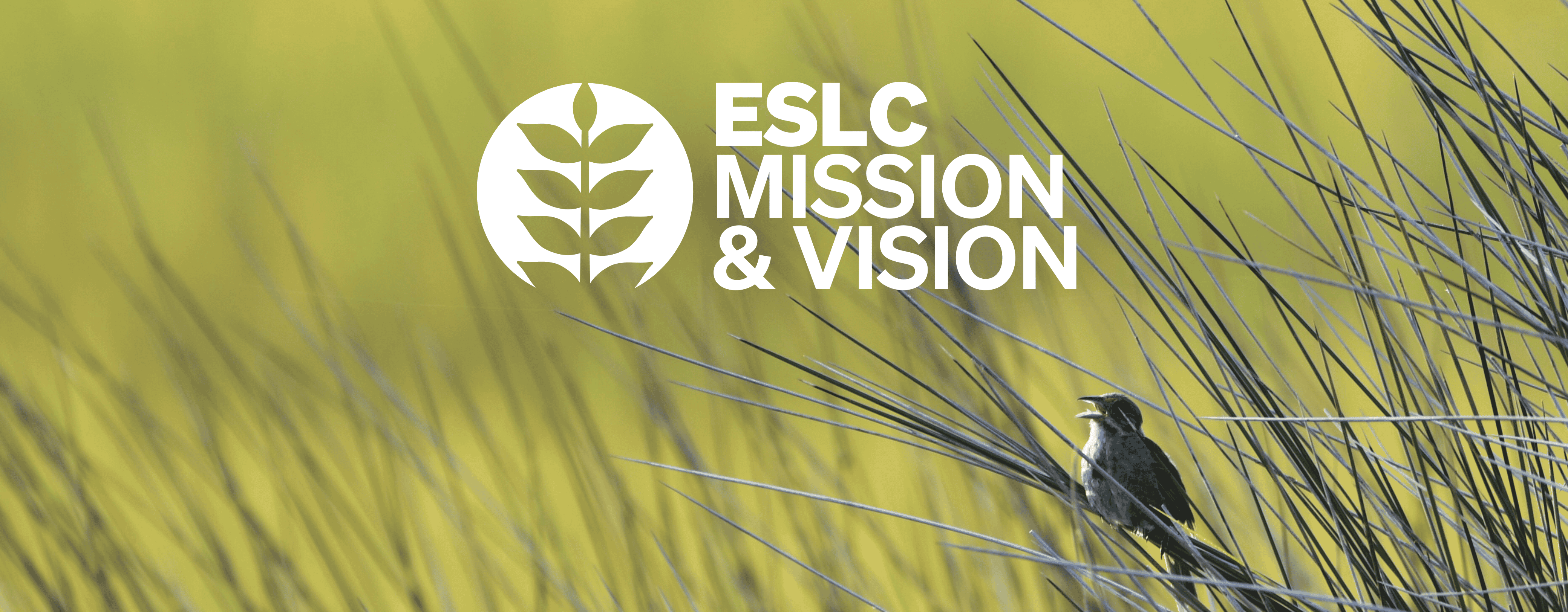 ESLC Mission and Vision