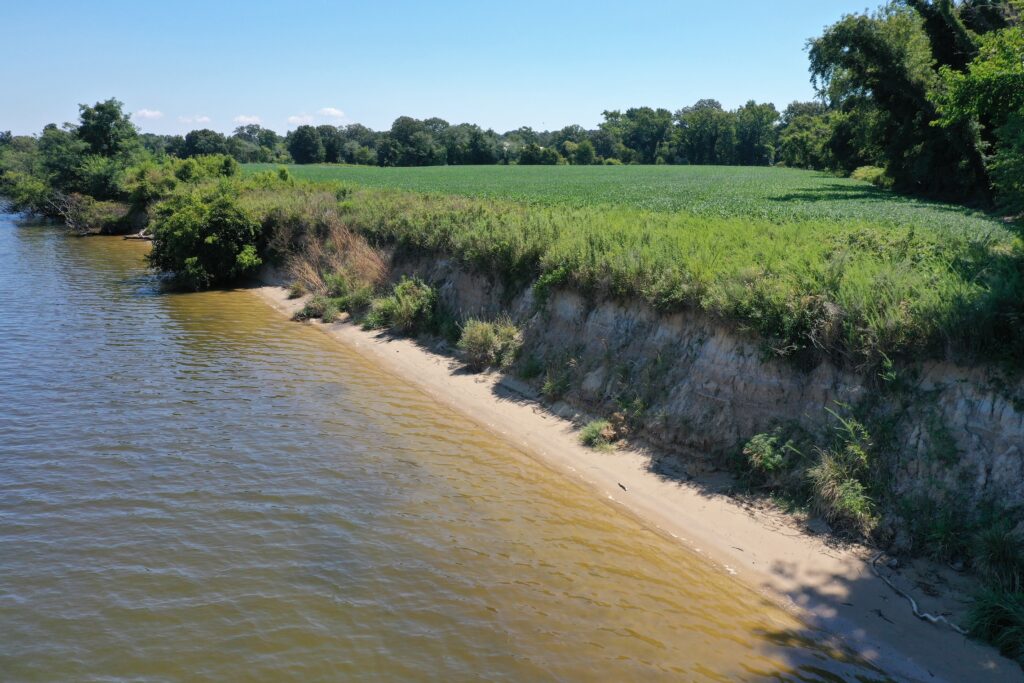 eroding shoreline beside a farm field on the eastern shore of maryland