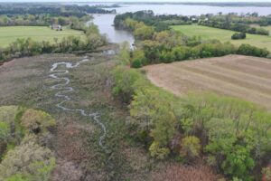 A photo of a wetland, woodland, and farm on the Eastern Shore